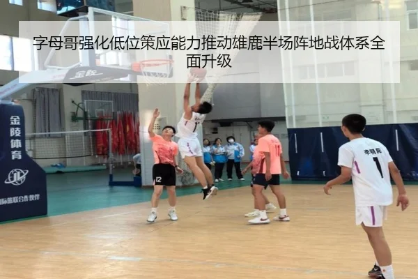 字母哥强化低位策应能力推动雄鹿半场阵地战体系全面升级
